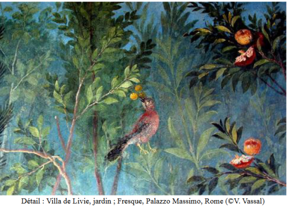 Image fresque