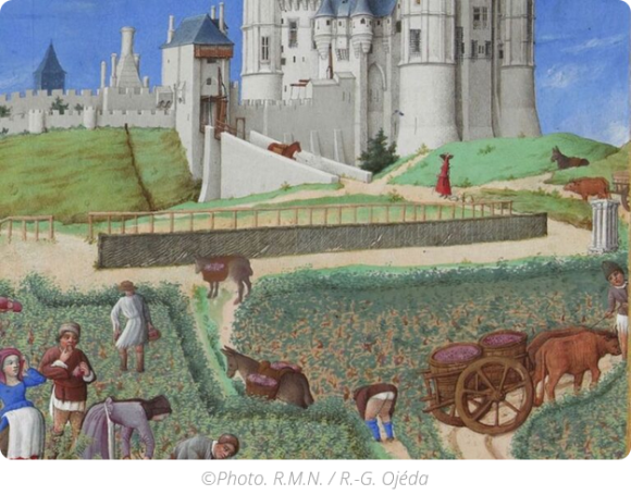 Appel à communications : « Les saisons au château » XXXIIIe Rencontres d'archéologie et d'histoire avant le 30 janvier 2026